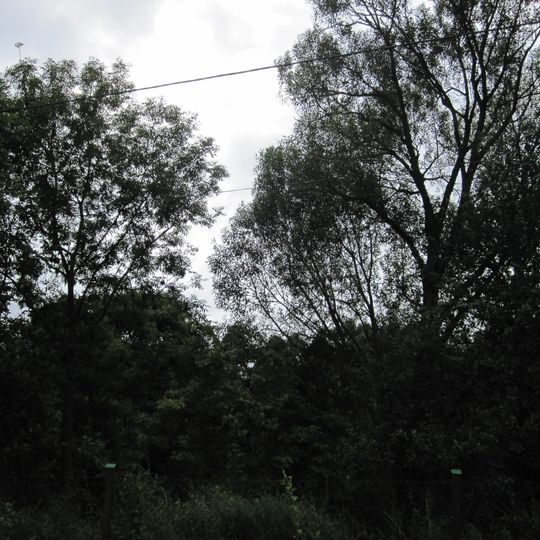 Manor park in Platyny