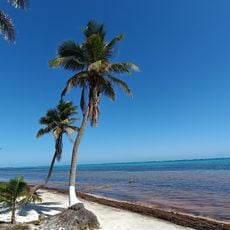 Arrecifes de Xcalak National Park
