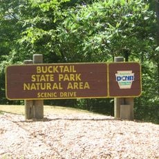Bucktail State Park Natural Area