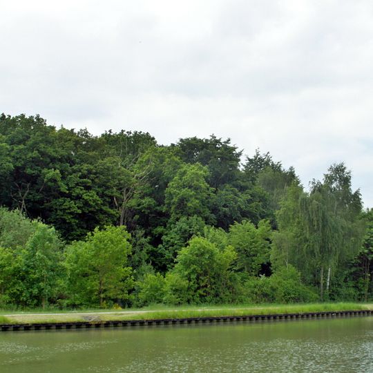 Fohlenstall - Haster Wald