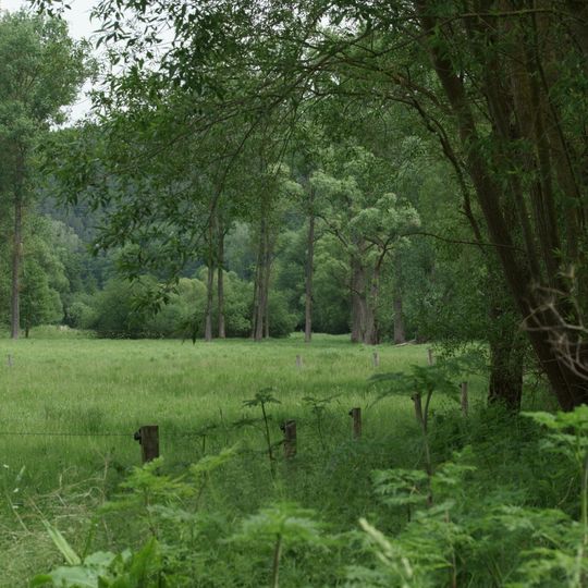 Wattertal bei Landau