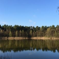 Nicolassee