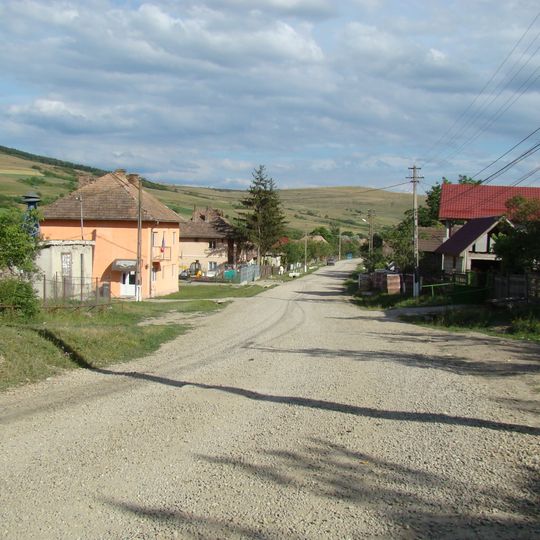 Aluniș