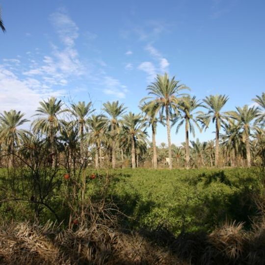 Oasis de Gabès