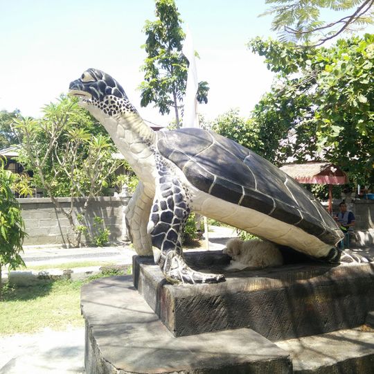 Turtle Conservation And Education Center