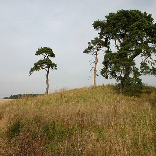 Bowl barrow known as How Hill, east of Heronfield Belt