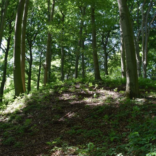 Turmhügel Haxterberg