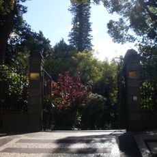 Araucária (Quinta Vigia)