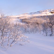Parque nacional de Femundsmarka