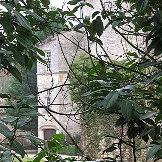 Château de Buffières