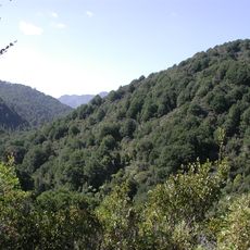 Remutaka Forest Park