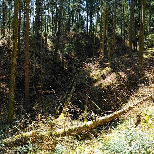 Eberhardt-Ludwig-Stein