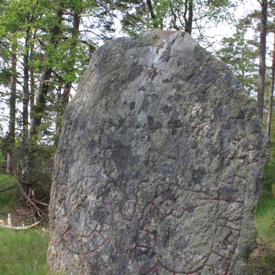 Södermanlands runinskrifter 258