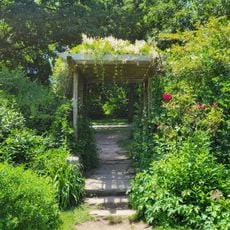 New Jersey Botanical Garden