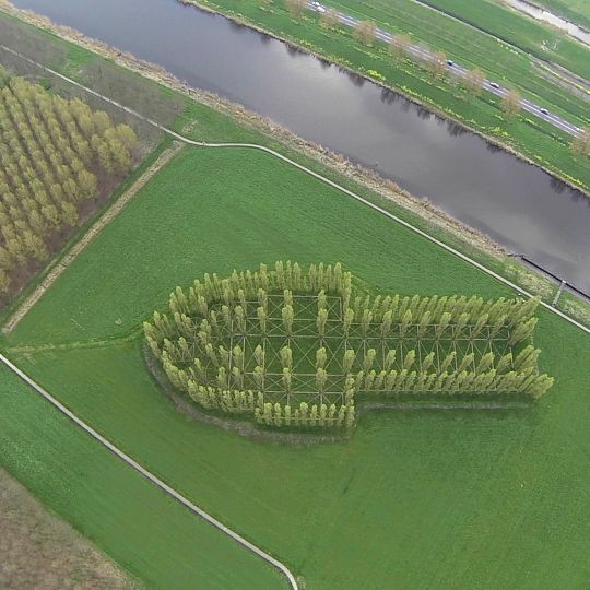 De Groene Kathedraal