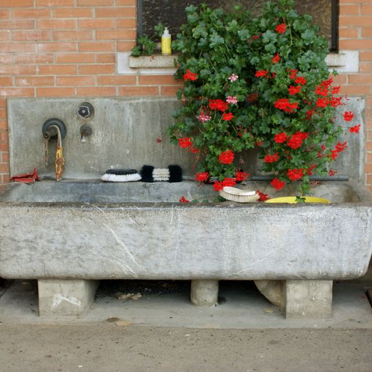 Brunnen Bauernhof Elfenau