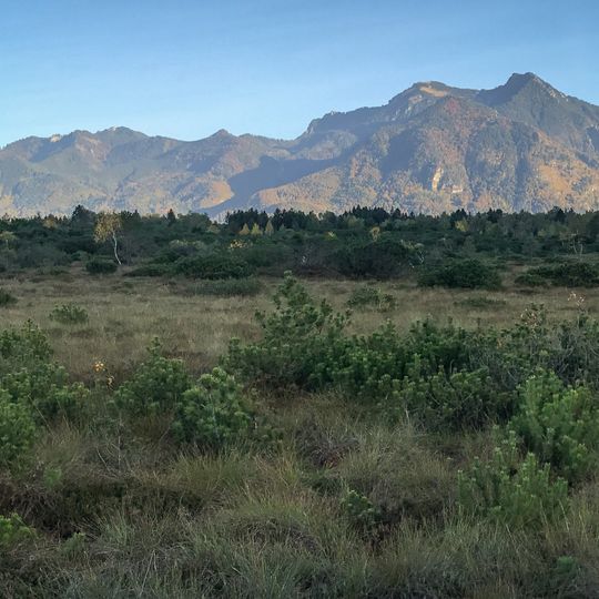 Hacken und Rottauer Filz