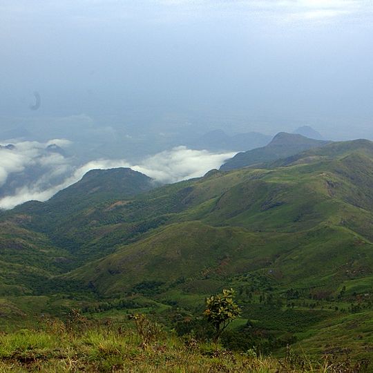 Palni Hills