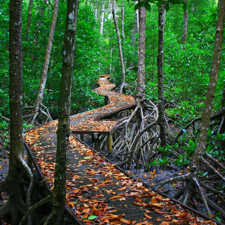 Parque Marinho da Grande Barreira de Coral