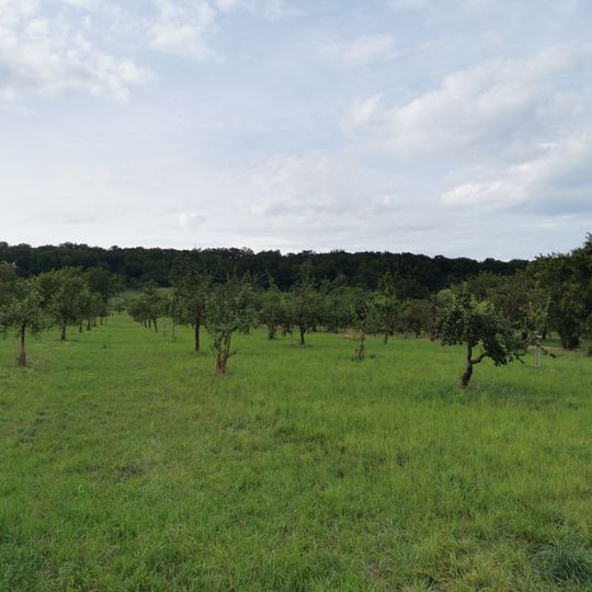 Hartwald mit Umgebung