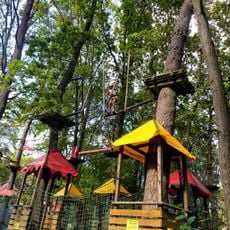 Park Linowy