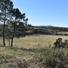 Campo da Reguiña
