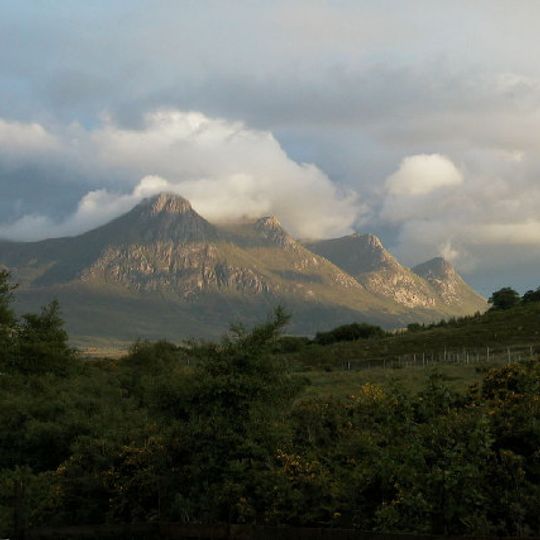 Ben Loyal