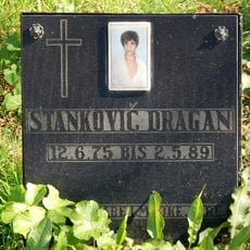Stankovič Dragan