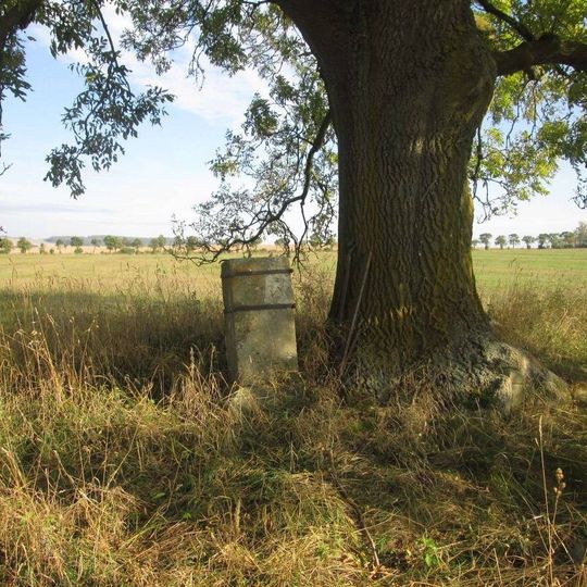 Kříž v poli východně od Kolešova