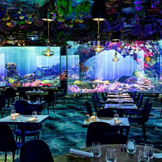 Under the sea