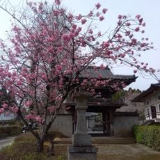 永秀寺