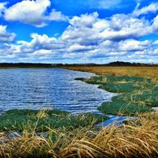 Phinizy Swamp Nature Park