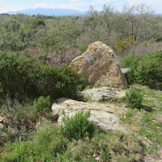 Dolmen d'el Quadró