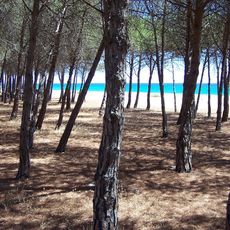 Spiaggia di Su Barone