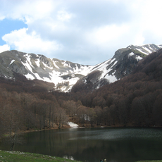 Riserva regionale Lago Laudemio (Remmo)