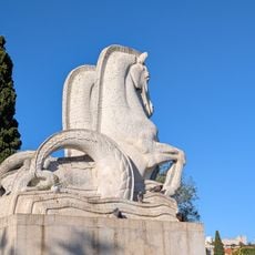 Cavalos Marinhos