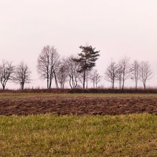 World War I Cemetery in Kiełczewice Dolne