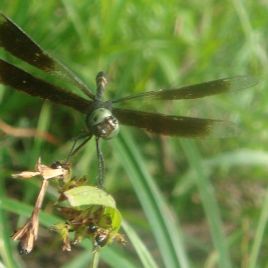 Reserva Natural Palmari