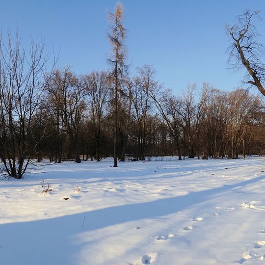 Park around Palace in Luszyn