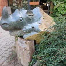 Rhino Mother and Child