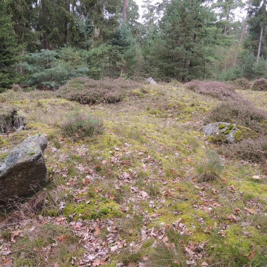 Großsteingrab Rohstorf 2