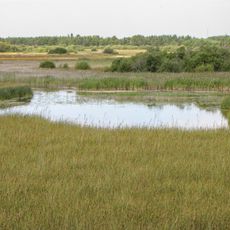 Träskmyr och Vasteån