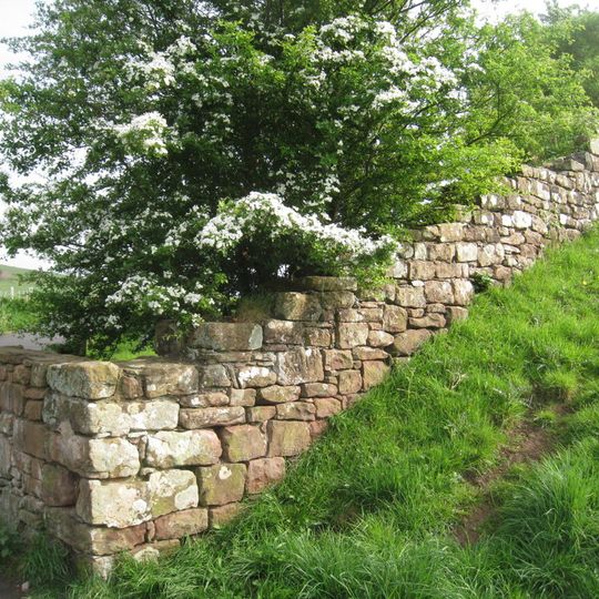 Furness Abbey Wall