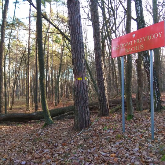 Rezerwat przyrody Bachus