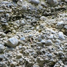 Nagelfluh-Aufschluss westlich von Bad Grönenbach