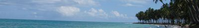 Panoramic View 0