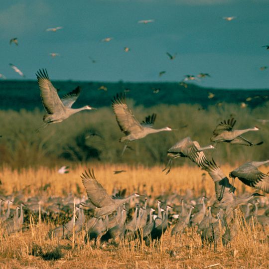 Lake Andes National Wildlife Refuge