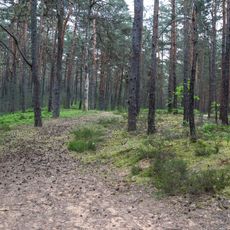Binnendünen und Albtrauf bei Neumarkt
