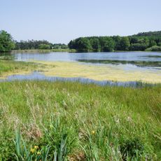 Naturschutzgebiet Schalksbachteiche