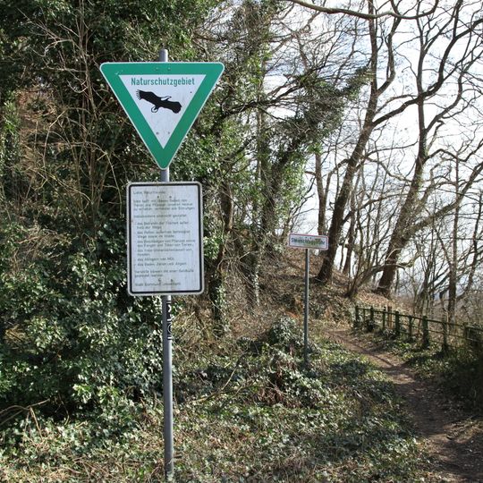 Ruhrsteilhänge Hohensyburg